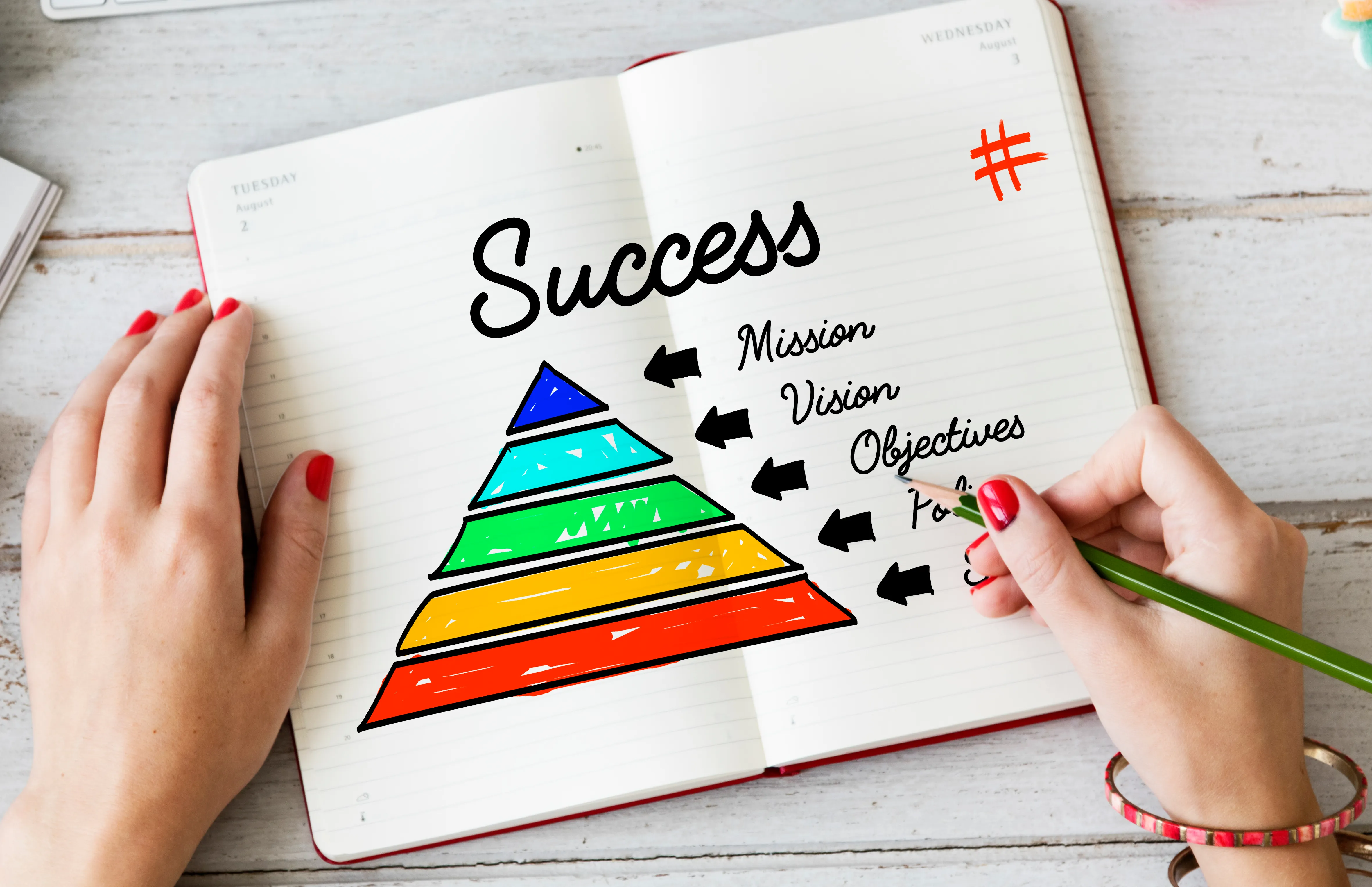 Marketing plan, goals and vision